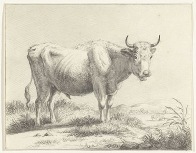 Staande koe, naar rechts door Jean Bernard