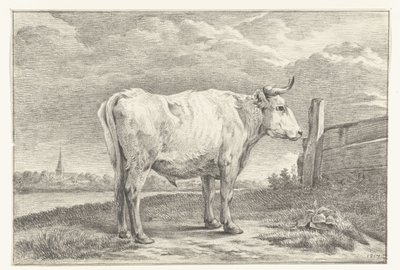 Staande stier, naar rechts door Jean Bernard
