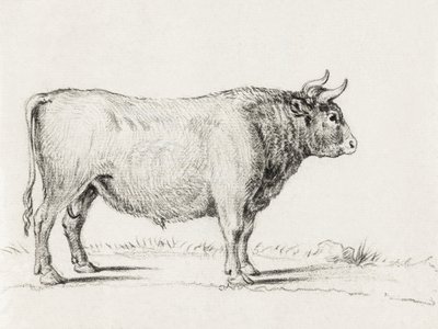 Standing Bull door Jean Bernard