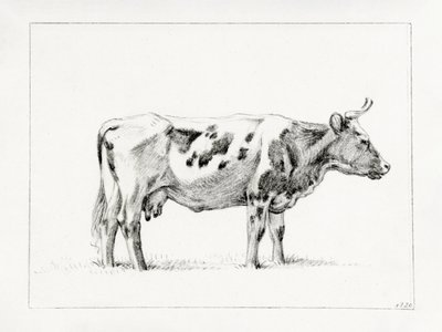 Staande koe (1820) door Jean Bernard