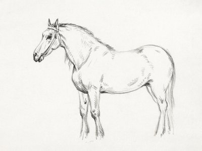 Staand paard (1818) door Jean Bernard