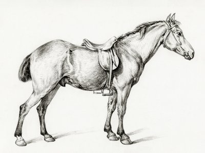 Staand paard door Jean Bernard (1775–1883) door Jean Bernard