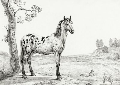 Staand gevlekt paard door Jean Bernard