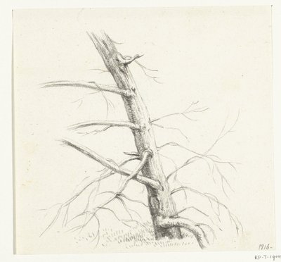 Studie van een boom door Jean Bernard