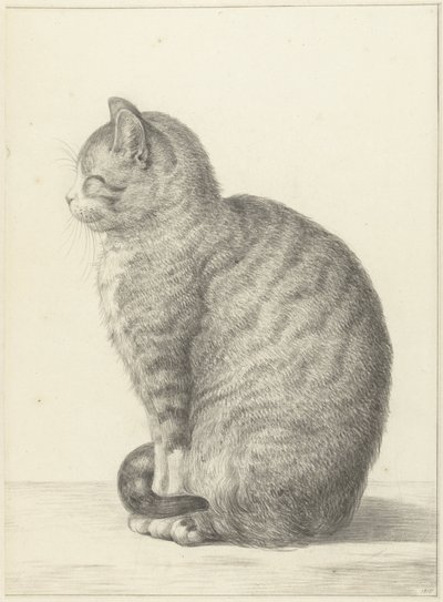 Zittende kat, naar links door Jean Bernard