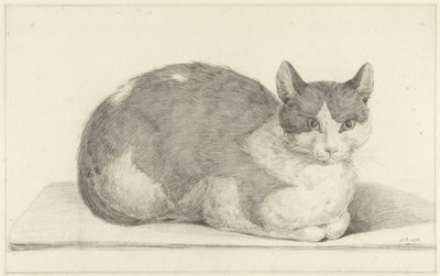 Zittende kat, naar rechts door Jean Bernard