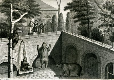 Berengrot in een dierentuin door Jean Charles Werner