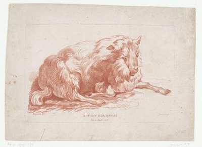 Liggend schaap door Jean Francois Janinet