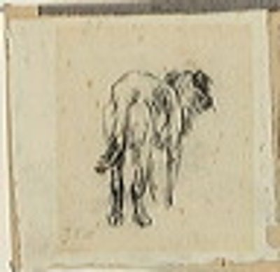 Studie van een hond door Jean Francois Millet