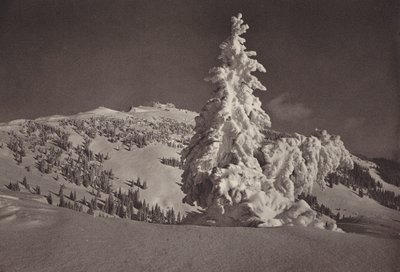 Rigi Kaltbad, skigebied tot Rigi Kulm door Jean Gaberell