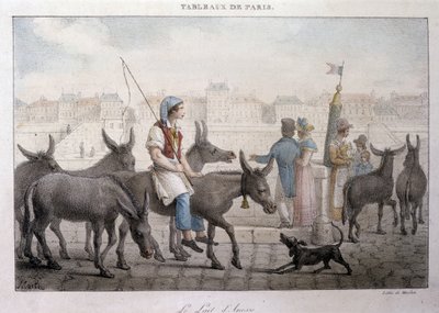 Oude straatberoep in Parijs: ezelmelkverkoper (Ezel in Parijs) - Gravure door Jean Henry Marlet (1771-1847) in 