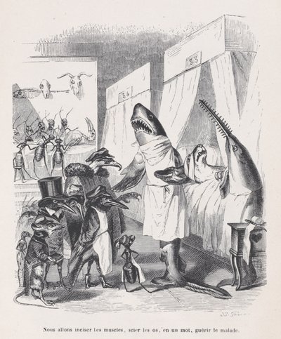 We gaan de spieren insnijden, de botten zagen, kortom, de zieken genezen uit Sc..., ca. 1837-47 door Jean Ignace Isidore Gérard