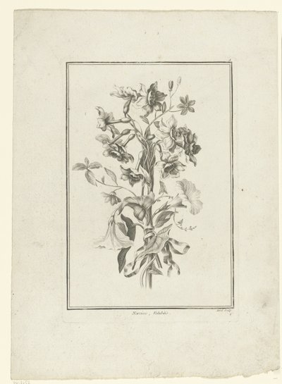 Boeket van narcis en winde door Jean Jacques Avril (I)