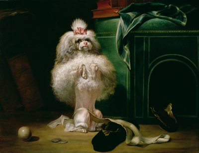 Een hond van het Havannah-ras, 1768 door Jean Jacques Bachelier