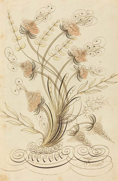 Calligrafische bloemen door Jean Joseph Bernard called Bernard de Paris