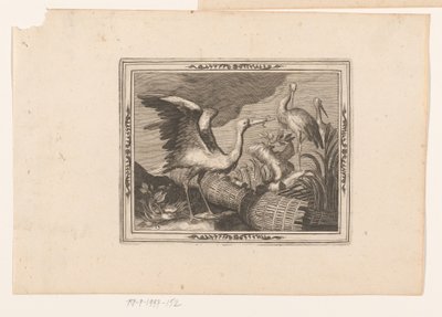 Ooievaars door Jean Leclerc
