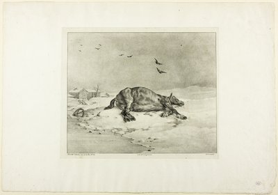 Dood Paard door Jean Louis André Théodore Géricault