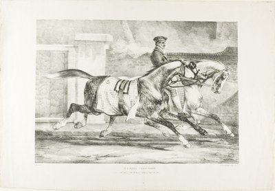 Paarden in beweging, plaat 6 van Diverse onderwerpen Naar het leven getekend op steen door Jean Louis André Théodore Géricault