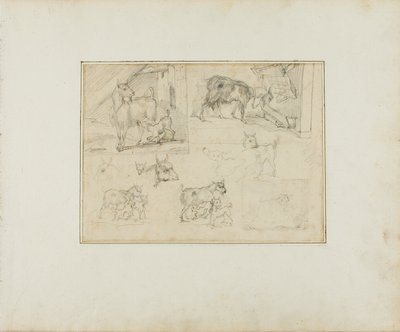 Schetsen van geiten door Jean Louis André Théodore Géricault