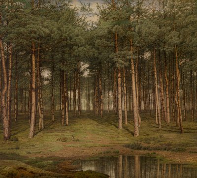 Dennenbos bij Putte door Jean Pierre Francois Lamoriniere