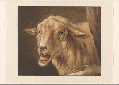 Schaapskop door Jean Zacherie Mazel