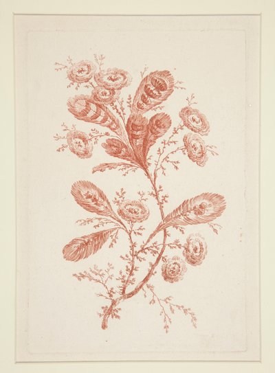 Zonder titel (Ideale bloemen), uit een set van zes door Jeanne Deny