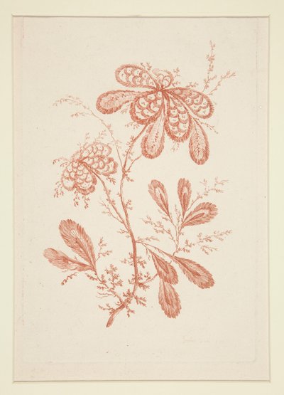 Naamloos (Ideale bloemen), uit een set van zes door Jeanne Deny