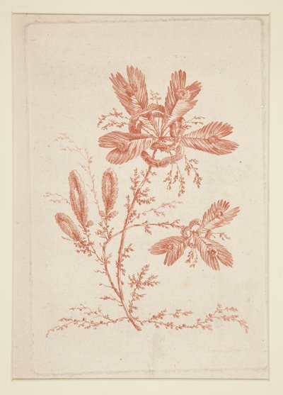 Zonder Titel (Ideale Bloemen), uit een set van zes door Jeanne Deny