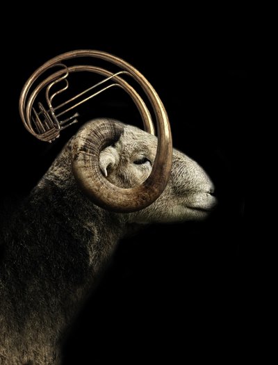 Profiel van Musical Ram door Jeffrey Hummel