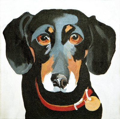 Buster, 2012 (acryl op doek) door Jennifer Abbott