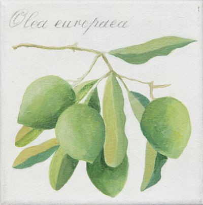 Groene olijven (acryl) door Jennifer Abbott