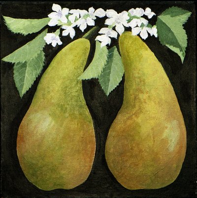 Peren, 2013 (acrylverf op doek) door Jennifer Abbott