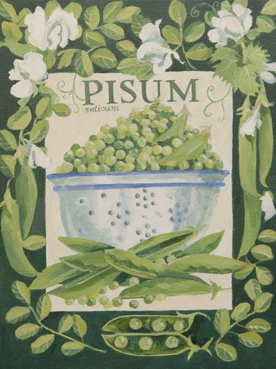 Pisum, erwten (acryl) door Jennifer Abbott