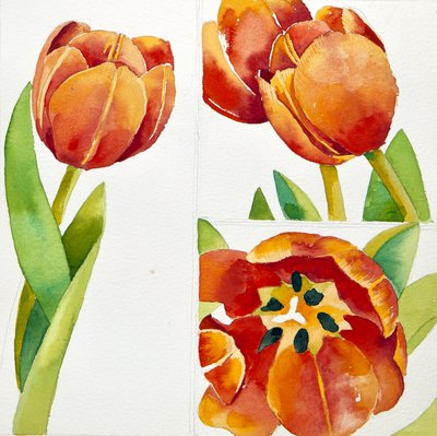 Drie tulpenstudies in een zeker, 2013 (aquarel) door Jennifer Abbott