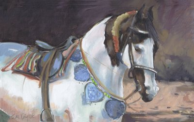 Marwari Paard II door Jennifer Wright