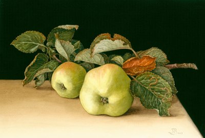 Bramleys door Jenny Barron