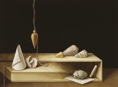 Optische illusie, 2005 door Jenny Barron