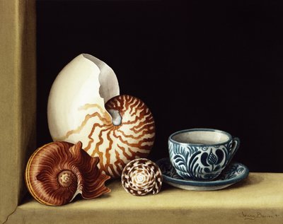 Stilleven met Nautilus, 1998 door Jenny Barron