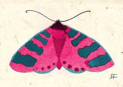 Roze mot, 2024 (aquarel op papier door Jenny Frean
