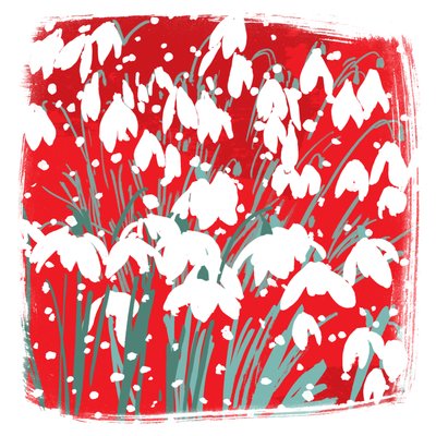 Sneeuwklokjes door Jenny Frean