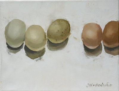  door Jenny Westenhofer