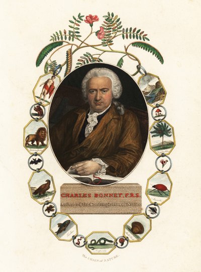 Portret van Charles Bonnet, Geneefse natuuronderzoeker door Jens Juel