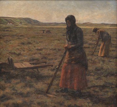 Vrouwen hakken heide door Jens Vige