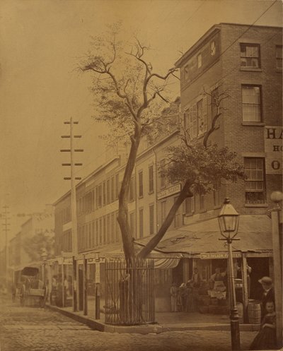 De Stuyvesant Perenboom door Jeremiah Gurney