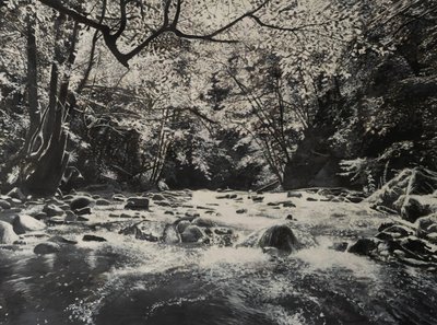 Rivierlandschappen, 2024 (olieverf op doek) door Jerome Glomaud