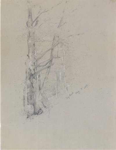 Droge beek door Jervis McEntee