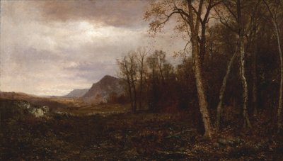 Over de heuvels en ver weg, 1878 door Jervis McEntee