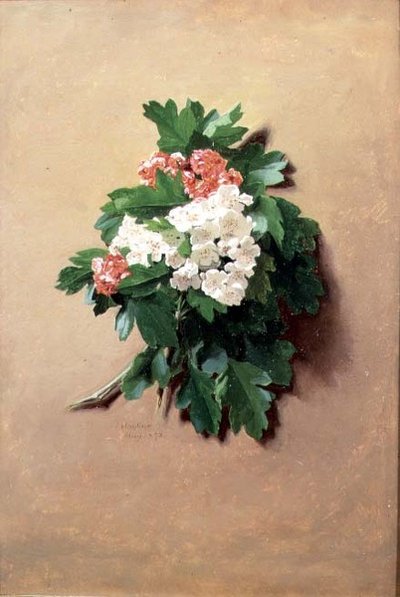 Mei (uit een serie van twaalf) door Jessica Hayllar