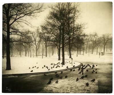 Common met duiven, Boston, VS, ca. 1902-10 door Jessie Tarbox Beals