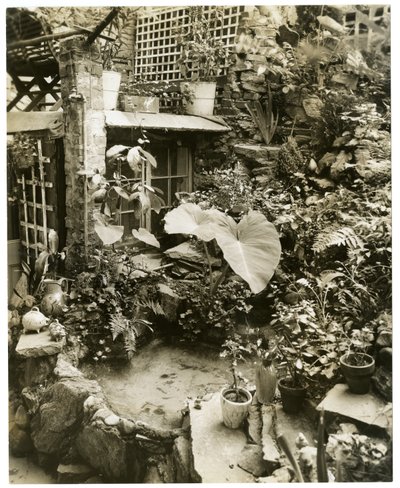 Zwembad met terras Huis van George en Mary Stonehill, Greenwich Village, New York, VS, c.1936-37 door Jessie Tarbox Beals